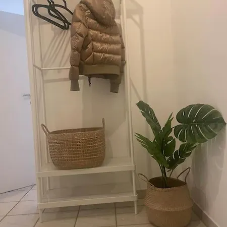 Apartman Into The Green