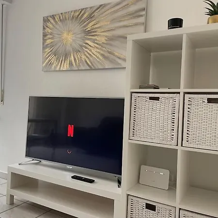 Apartman Into The Green
