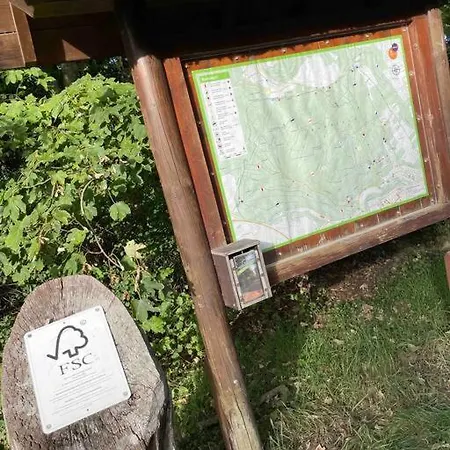 Apartman Into The Green